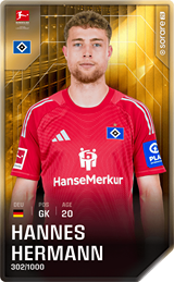 Hannes Hermann - limited