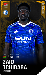 Zaid Amoussou-Tchibara - limited