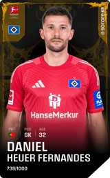 Daniel Heuer Fernandes - limited