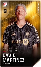 David Martínez - limited