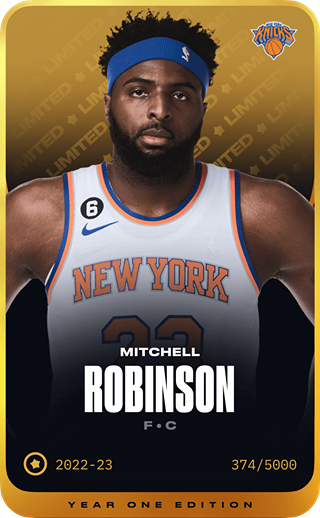 Mitchell Robinson - limited