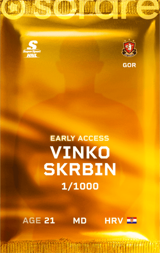 Vinko Skrbin