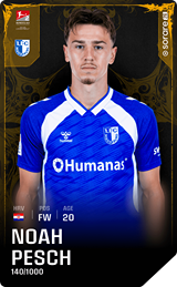 Noah Pesch - limited