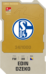 Edin Džeko - limited