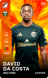 David Pereira da Costa - limited