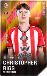 Christopher Rigg - limited