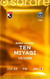 Ten Miyagi - limited