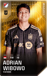 Adrian Wibowo - limited