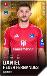 Daniel Heuer Fernandes - limited