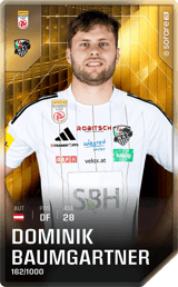 Dominik Baumgartner - limited