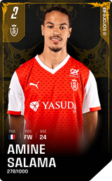 Amine Salama - limited