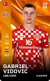 Gabriel Vidović - limited