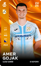 Amer Gojak - limited