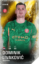 Dominik Livaković - limited