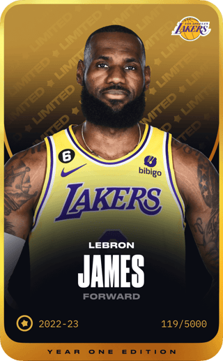 LeBron James - limited