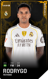 Rodrygo - limited