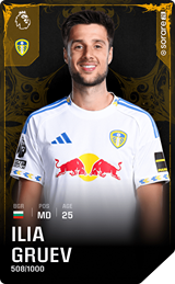 Ilia Gruev - limited