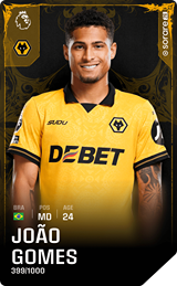 João Gomes - limited