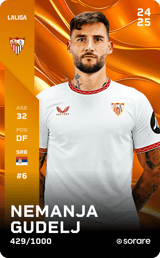 Nemanja Gudelj - limited
