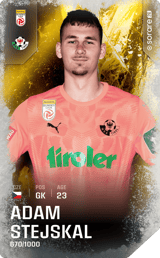Adam Stejskal - limited