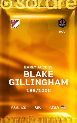 Blake Gillingham - limited