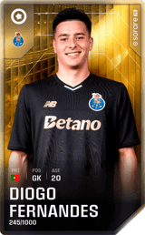 Diogo Fernandes - limited