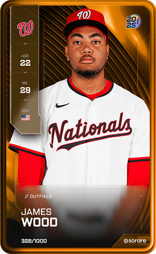 James Wood - limited