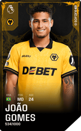 João Gomes - limited