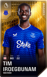 Timothy Iroegbunam - limited