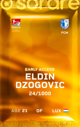 Eldin Dzogovic - limited