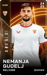 Nemanja Gudelj - limited