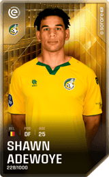 Shawn Adewoye - limited