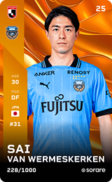 Sai van Wermeskerken - limited