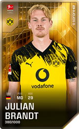 Julian Brandt - limited