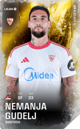 Nemanja Gudelj - limited