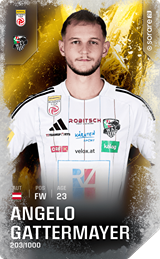 Angelo Gattermayer - limited