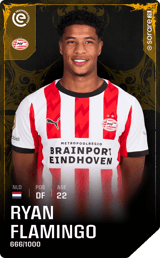 Ryan Flamingo - limited