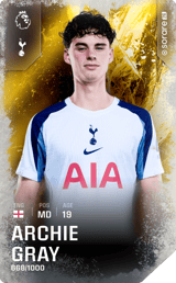 Archie Gray - limited