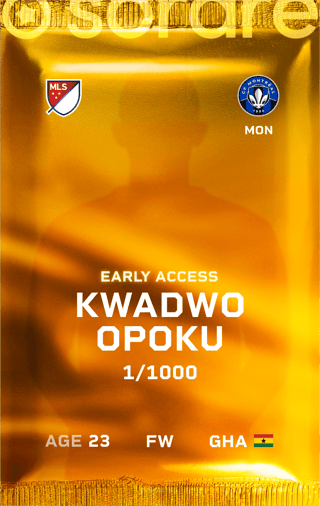 Kwadwo Opoku