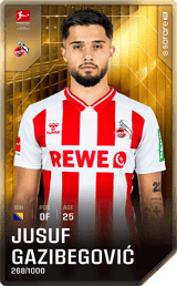 Jusuf Gazibegović - limited