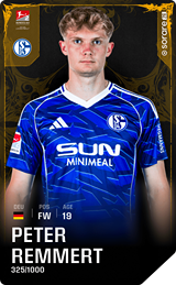 Peter Remmert - limited