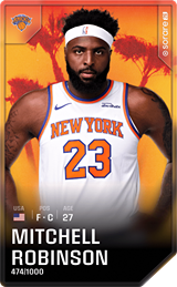 Mitchell Robinson - limited