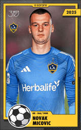 Novak Mićović - limited