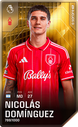 Nicolás Domínguez - limited