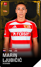 Marin Ljubičić - limited