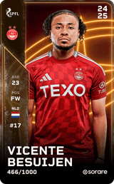 Vicente Besuijen - limited