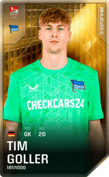 Tim Goller - limited