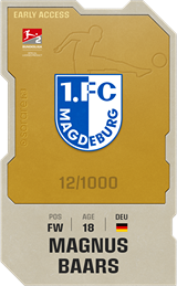 Magnus Baars - limited