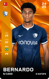 Bernardo - limited