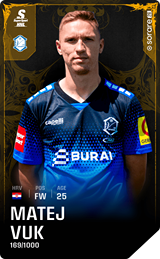 Matej Vuk - limited